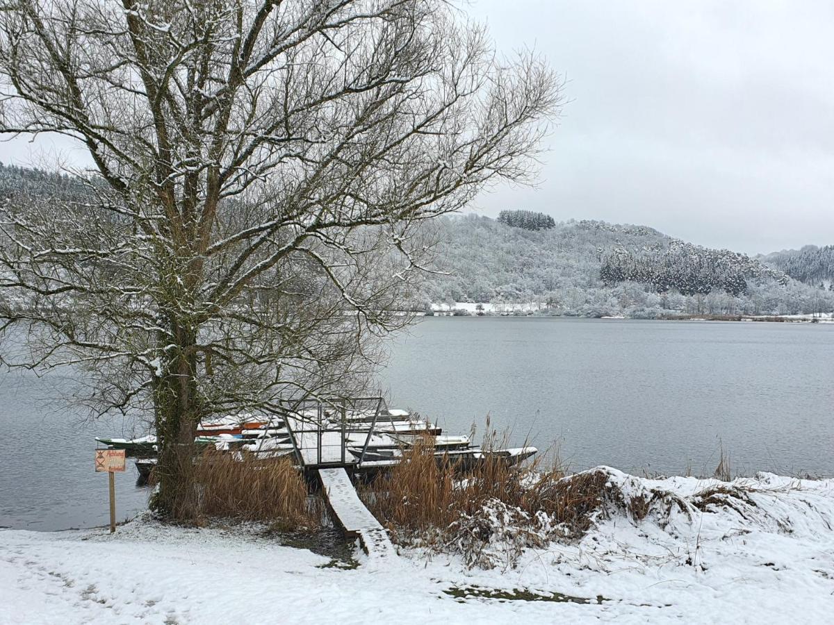 River Mosel Holiday Homes, Meerfeld Studio With A Lake View מראה חיצוני תמונה