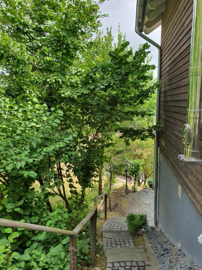 River Mosel Holiday Homes, Meerfeld Studio With A Lake View מראה חיצוני תמונה