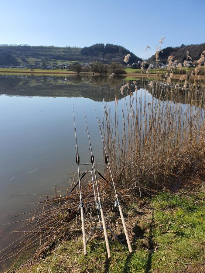 River Mosel Holiday Homes, Meerfeld Studio With A Lake View מראה חיצוני תמונה
