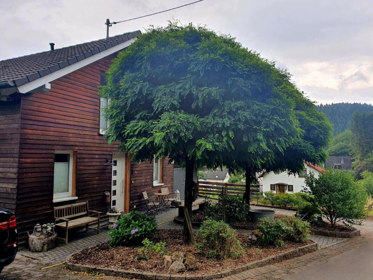 River Mosel Holiday Homes, Meerfeld Studio With A Lake View מראה חיצוני תמונה