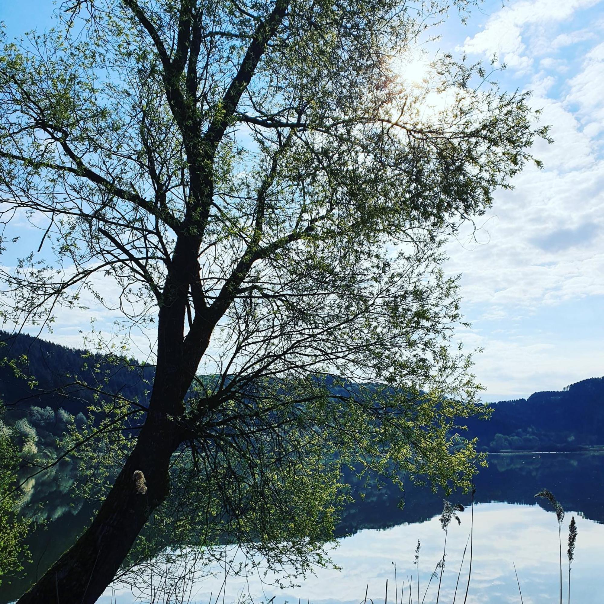 River Mosel Holiday Homes, Meerfeld Studio With A Lake View מראה חיצוני תמונה